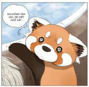 HÃY GỌI EM LÀ GẤU TRÚC ĐỎ