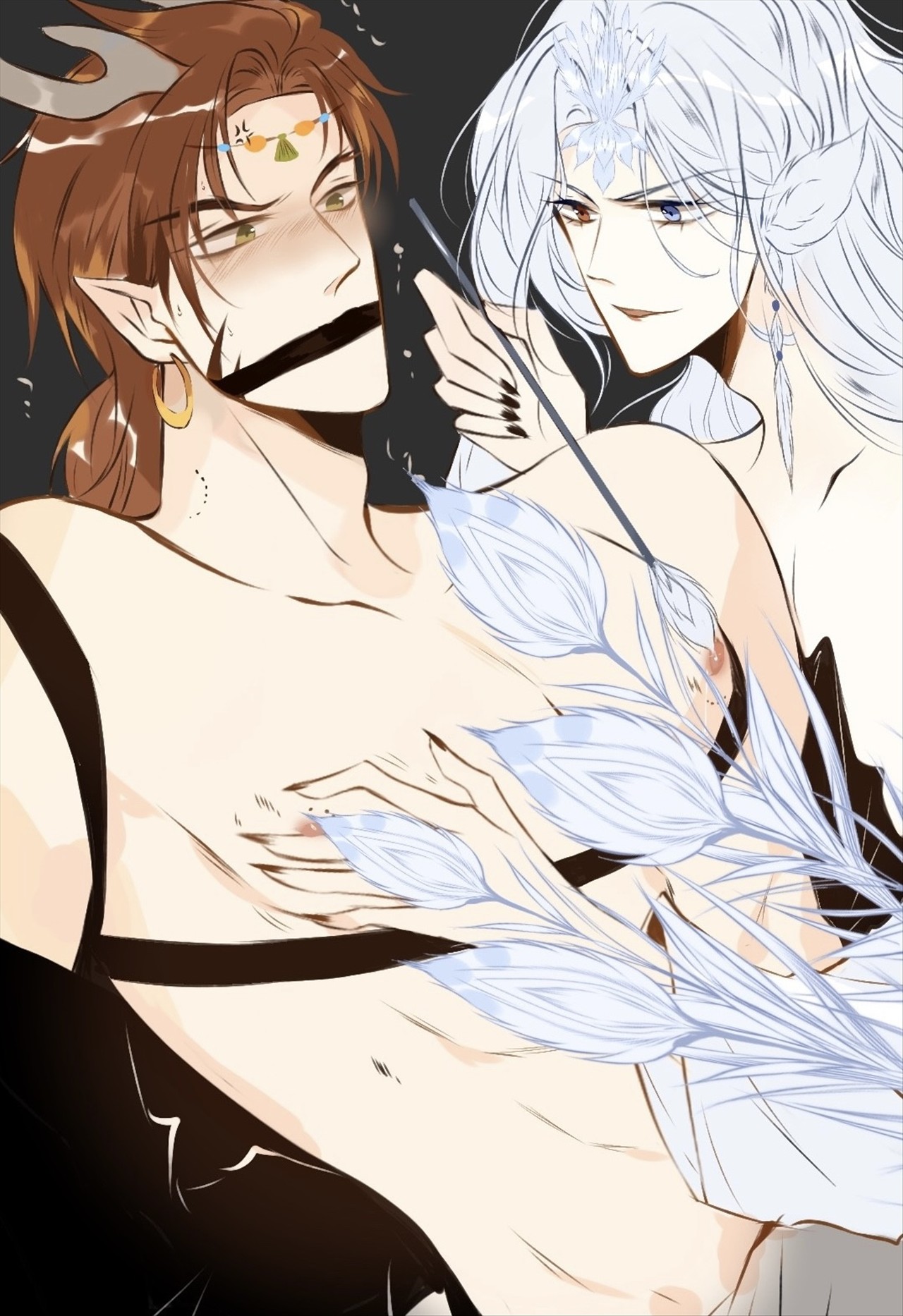 Khổng tước và kỳ lân