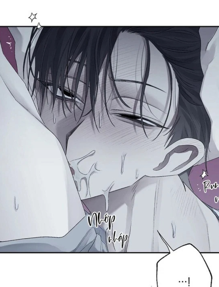 Mái Ấm Tan Chảy