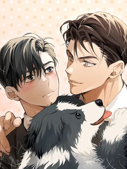 Tình Yêu Lông Chó